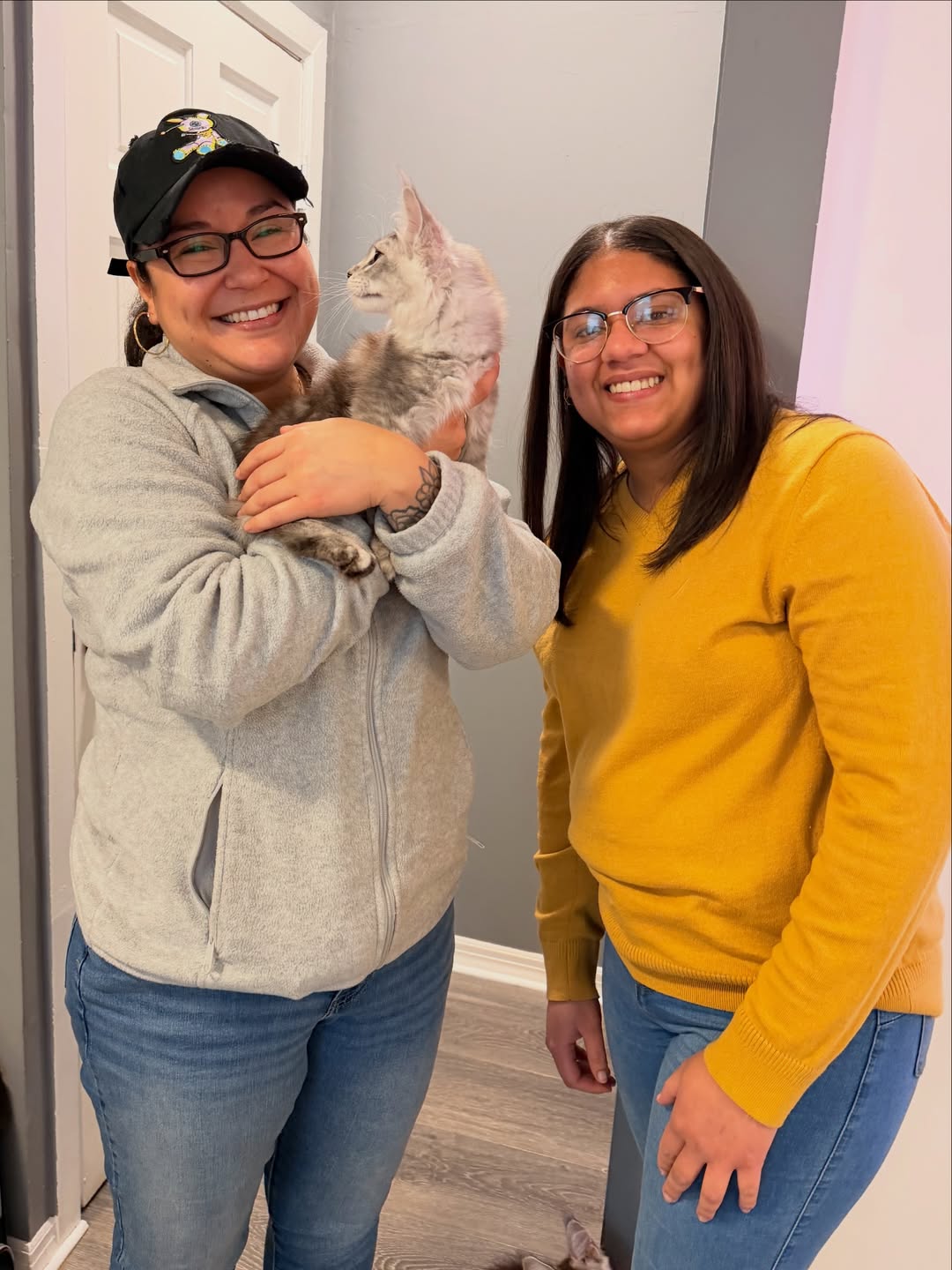 A JazzyMajestical family with their silver Maine Coon