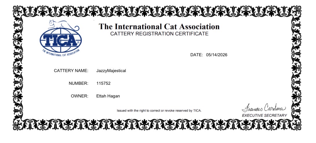 TICA cattery registration certificate for JazzyMajestical, number 115752
